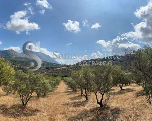 φωτογραφία ακινήτου