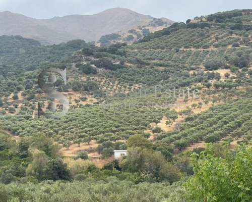 φωτογραφία ακινήτου