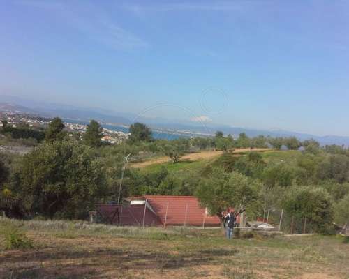 εικόνα ακινήτου