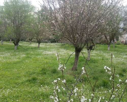εικόνα ακινήτου