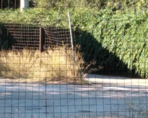 εικόνα ακινήτου