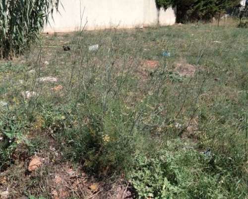εικόνα ακινήτου