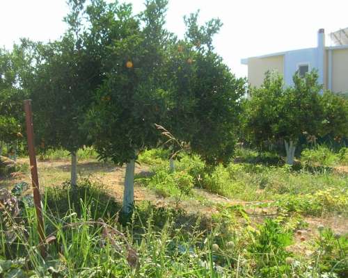 φωτογραφία ακινήτου