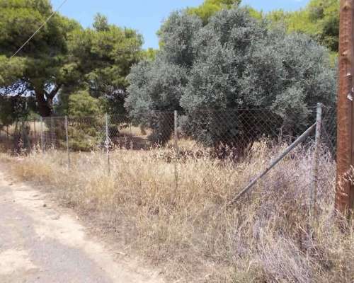 φωτογραφία ακινήτου