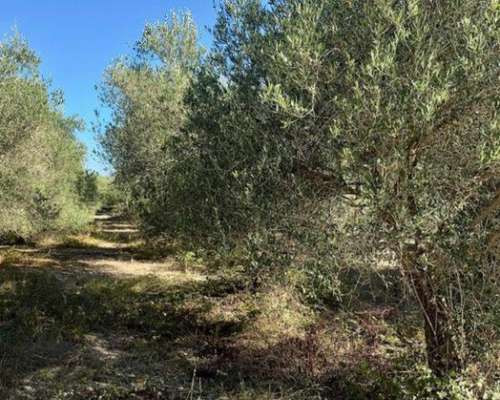 εικόνα ακινήτου
