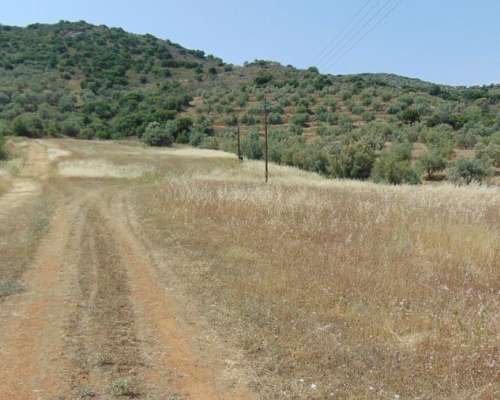 φωτογραφία ακινήτου