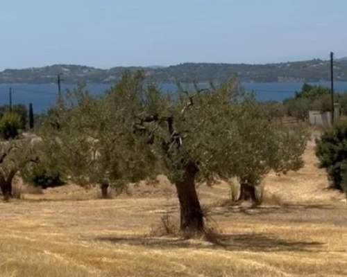 φωτογραφία ακινήτου