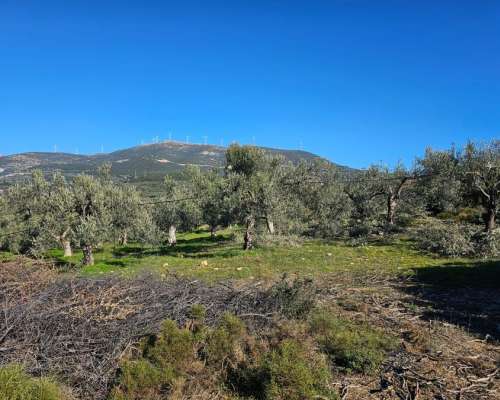 εικόνα ακινήτου