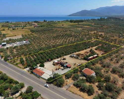 εικόνα ακινήτου