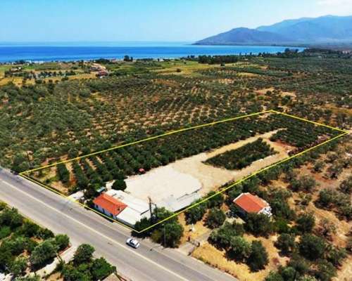 φωτογραφία ακινήτου
